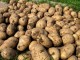 Продам картофель в Курске