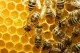 Продам пчелосемьи и пчелопакеты в Курске
